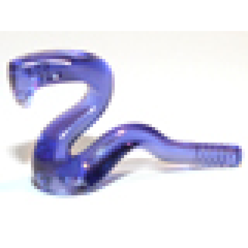 Slang, Opgeheven Trans Purple